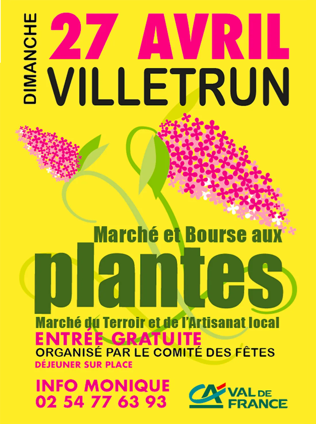 VILLETRUN (41) - Marché et bourse aux plantes