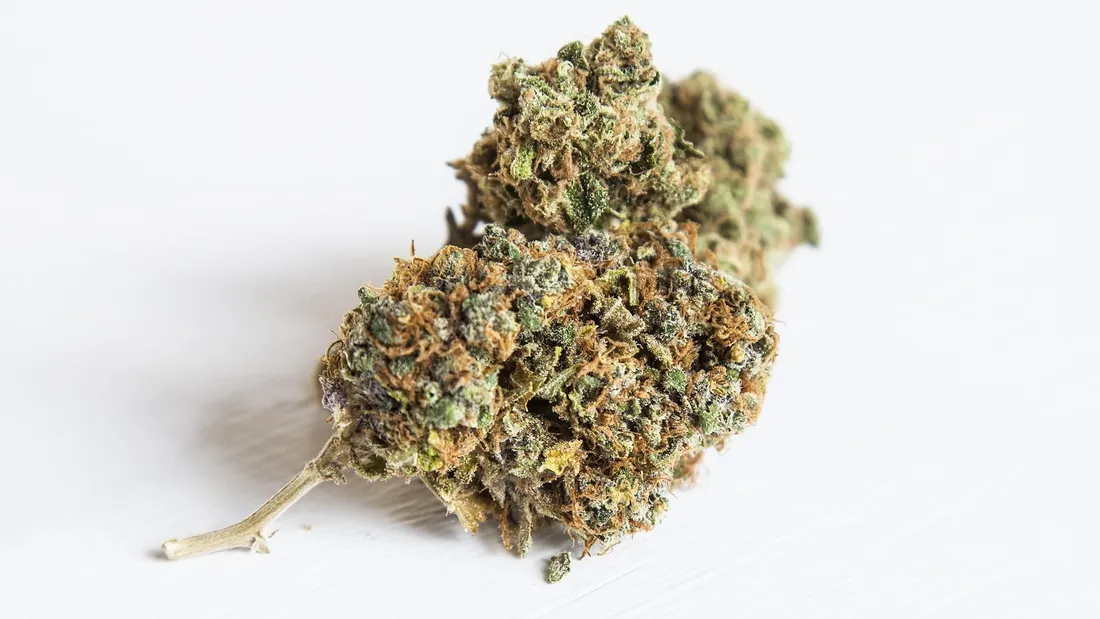 CANNABIS HERBE TETE