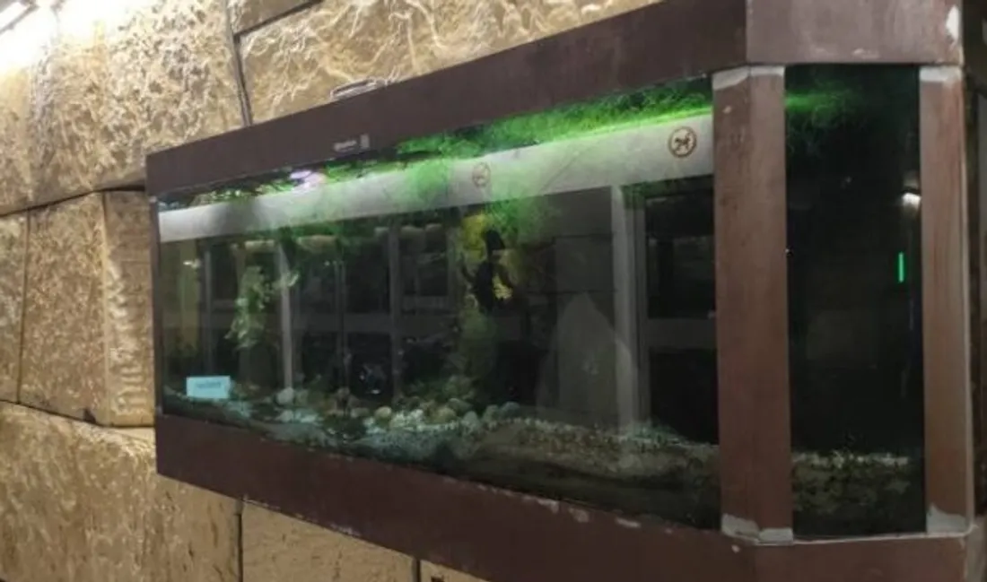 aquarium métro