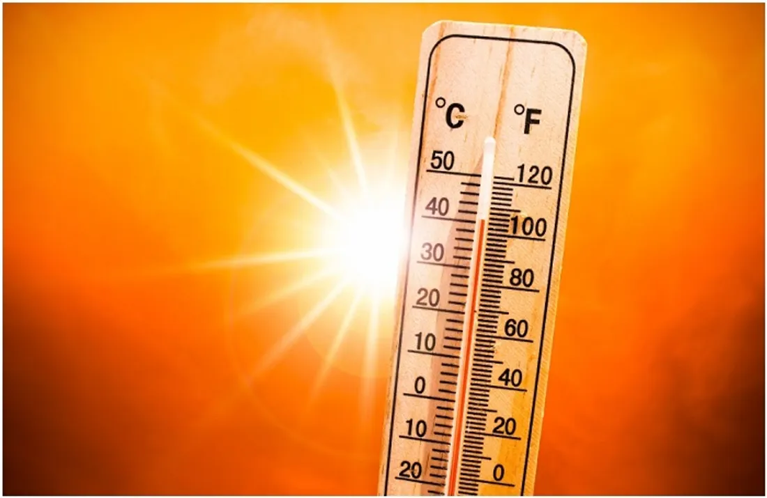Canicule 