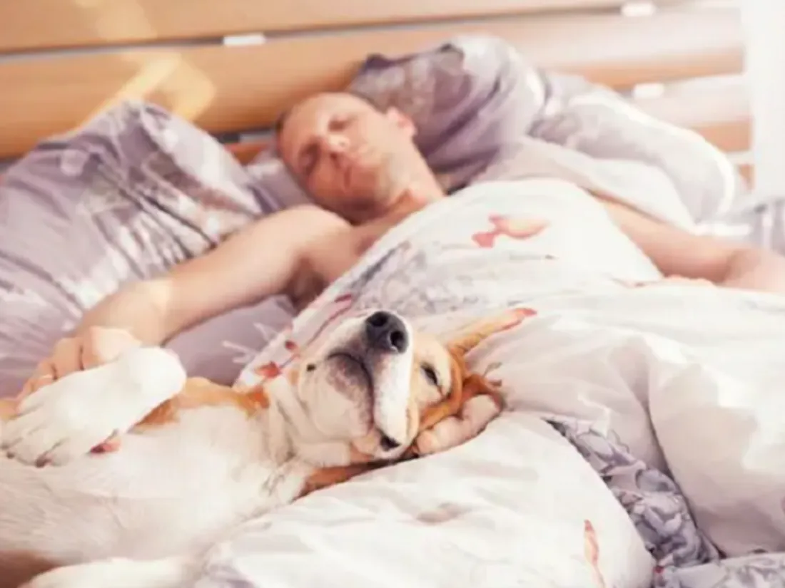 dormir avec son chien