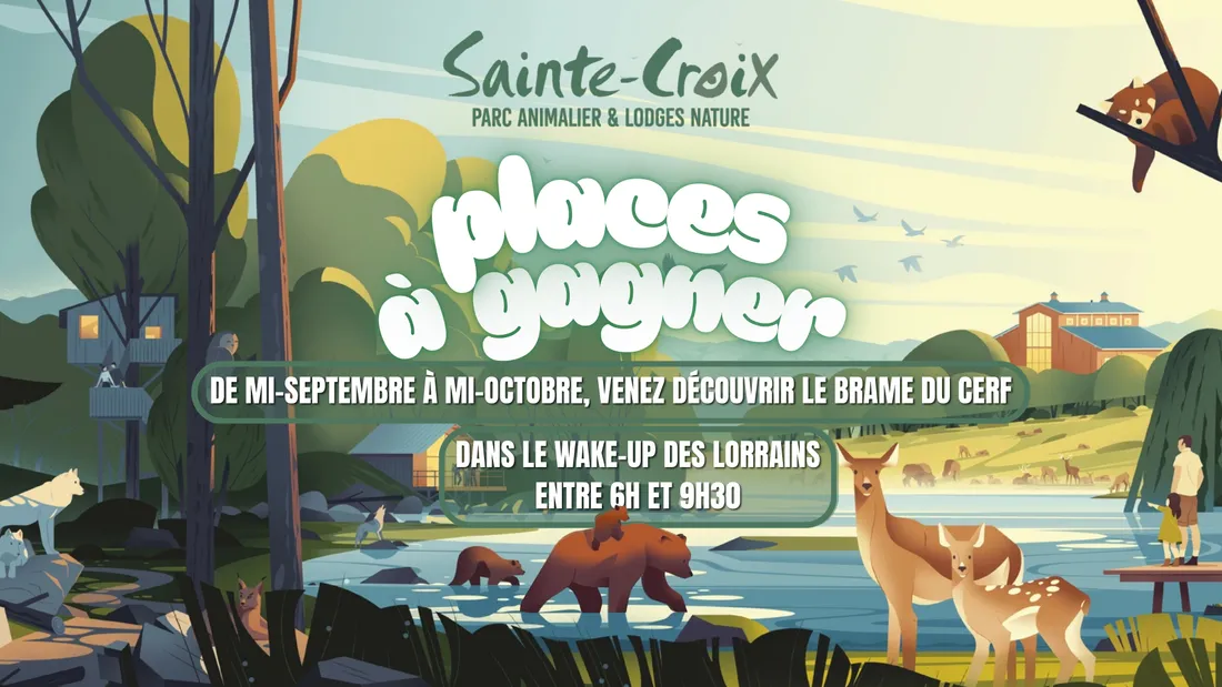 Concours Parc de Saint Croix 