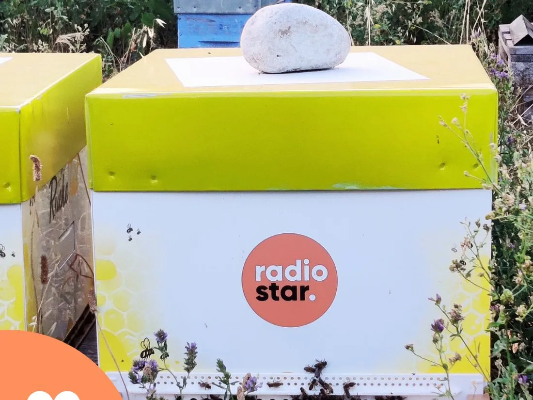 Les ruches sont personnalisées aux couleurs de Radio Star