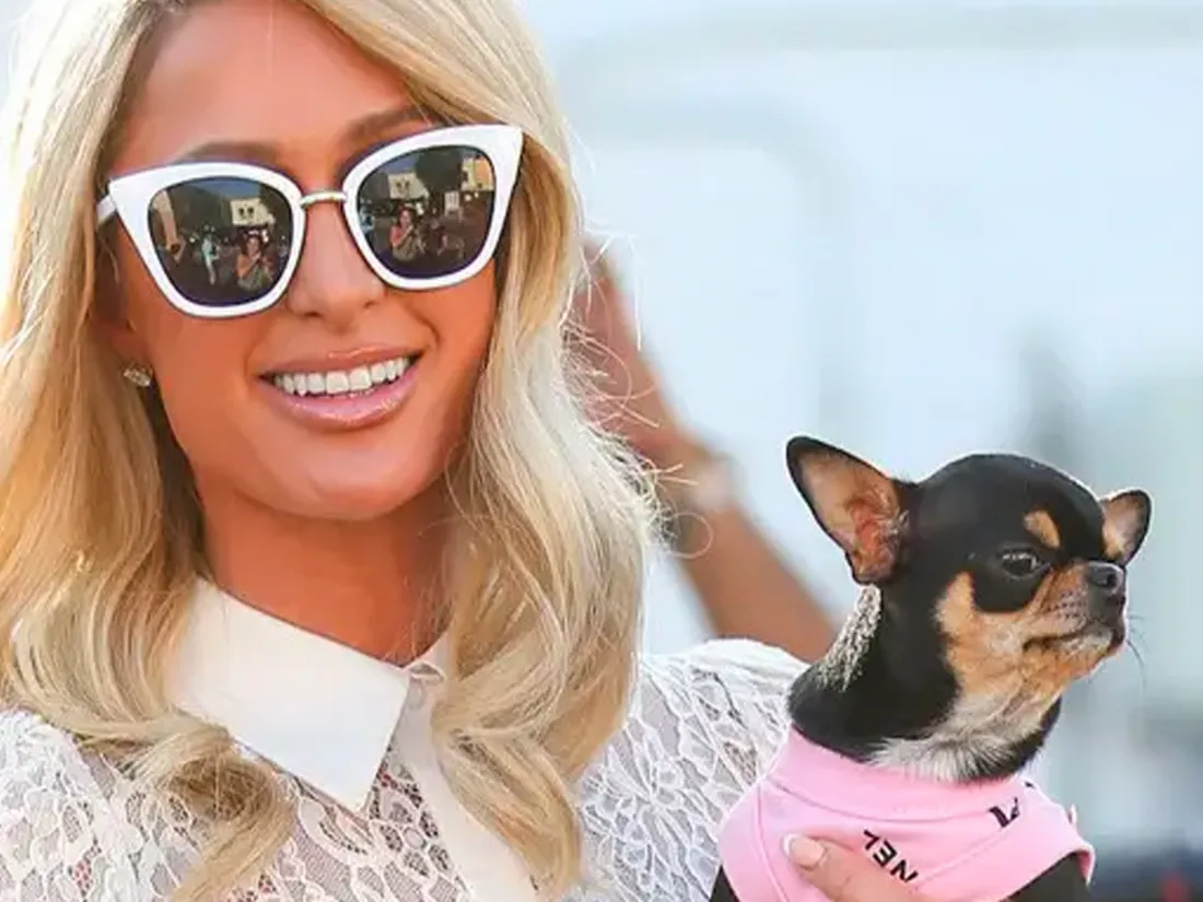 Paris Hilton
