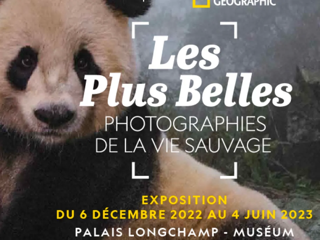 Les plus belles photos d'animaux sauvages de la planète sont exposées