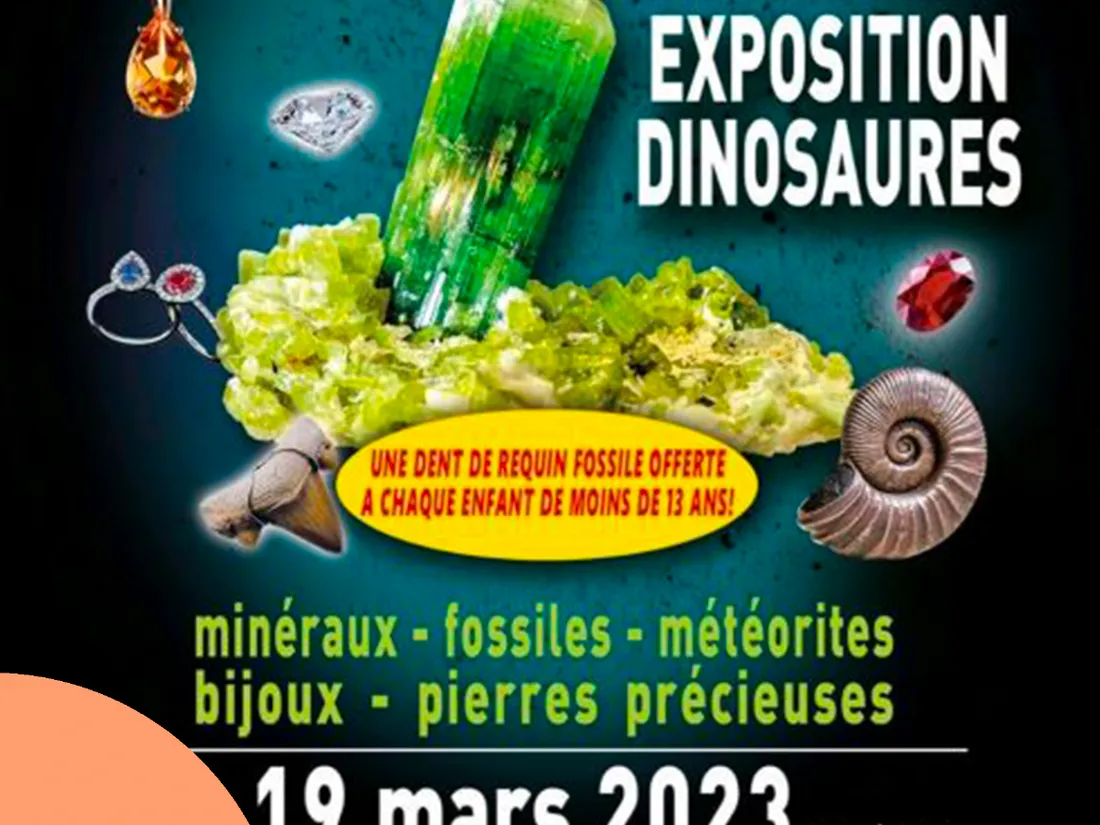Le Salon des Minéraux se tiendra sous la Halle