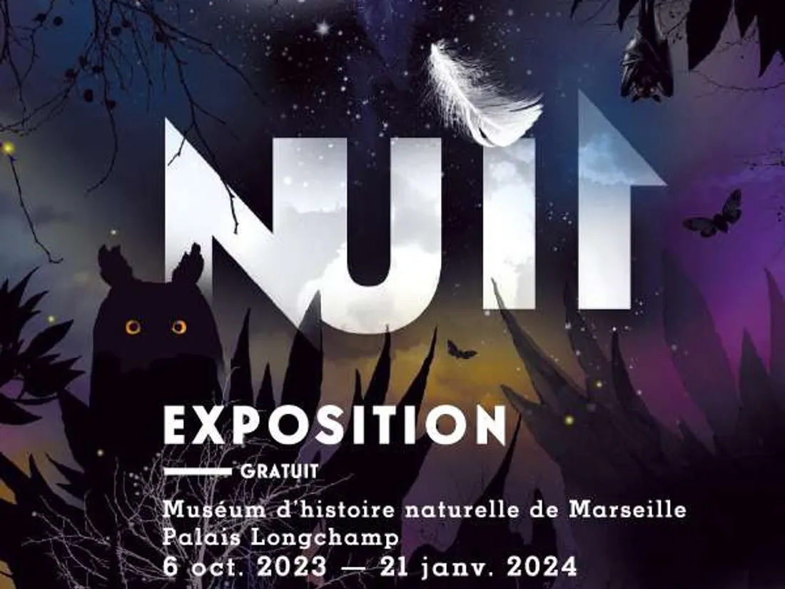 Plongez dans le monde mystérieux de la nuit