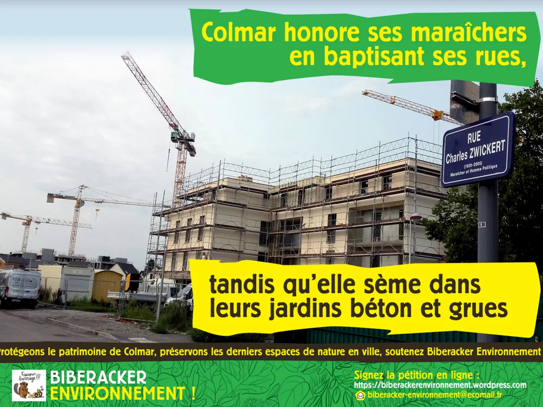 Colmar est une ville maraîchère