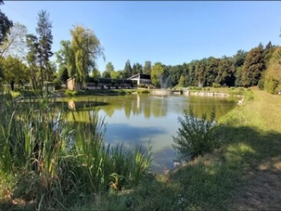 Etangs St Pierre de Pfastatt