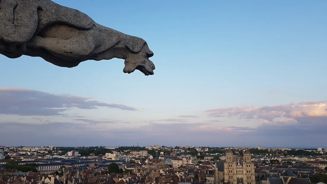 Une vue sur la ville de Dijon attend les visiteurs au sommet