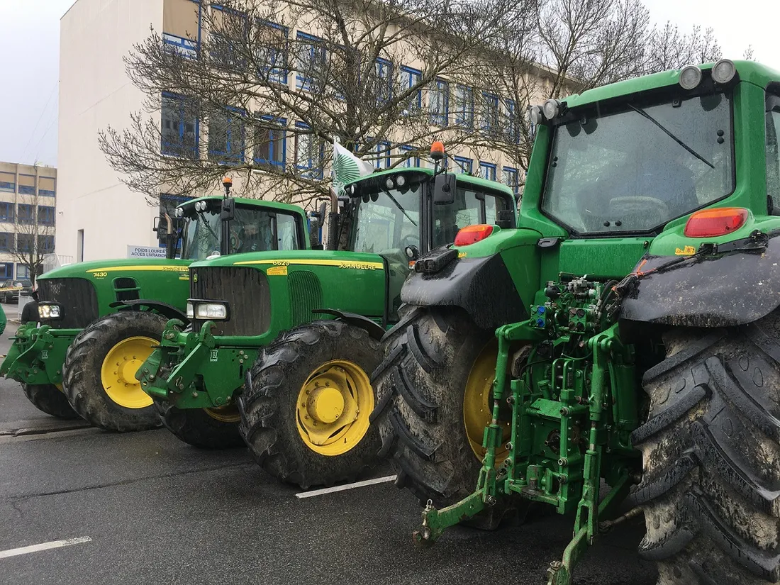 Les agriculteurs dénoncent la présence du loup en Côte d’Or 