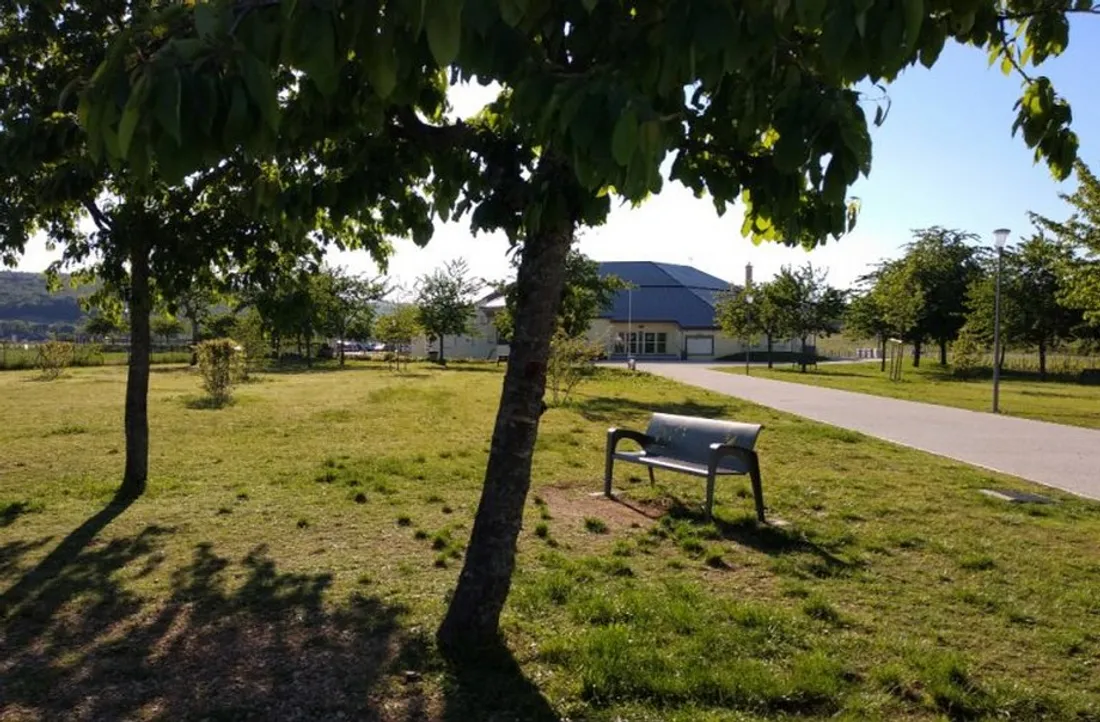Plusieurs évènements seront proposés dans la ville de Marsannay-la-Côte en janvier