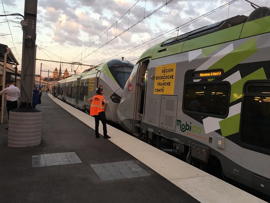 Le trafic a été perturbé une partie de la matinée sur la ligne SNCF entre Dijon et Bourg-en-Bresse