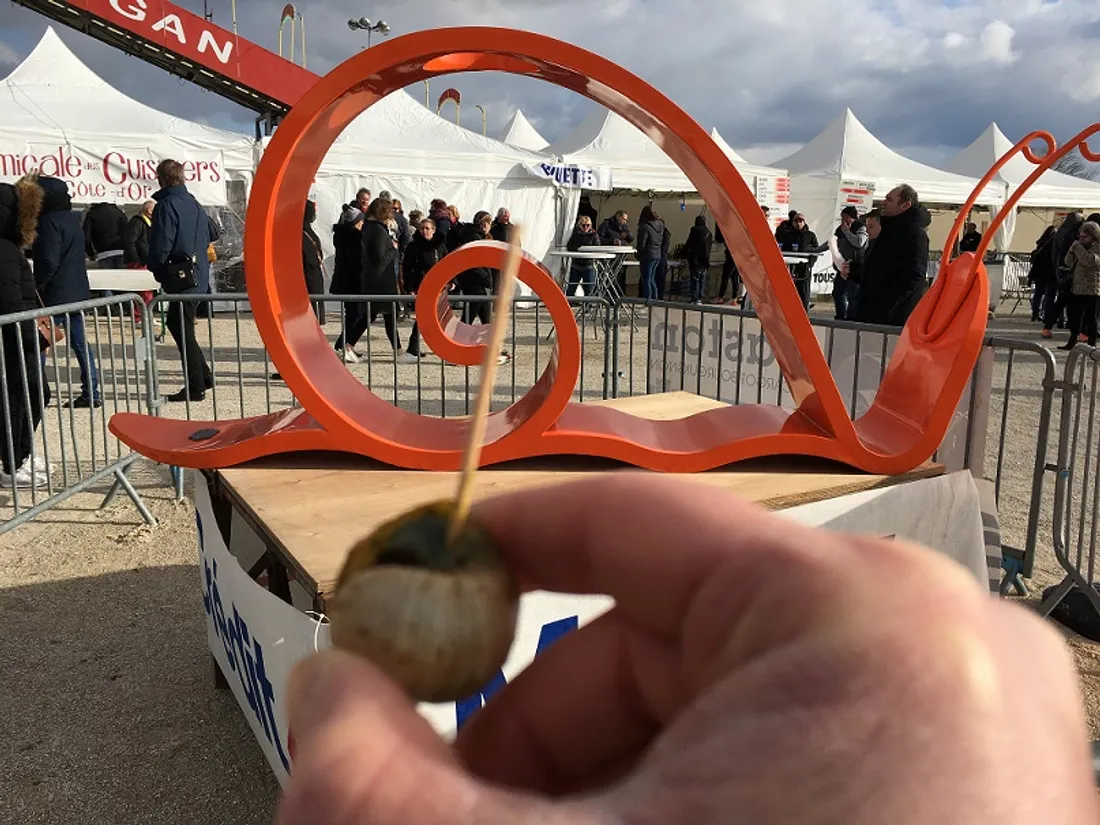 La 7eme édition de la fête de l’escargot de Chevigny-Sauveur s’est déroulée ce week-end 
