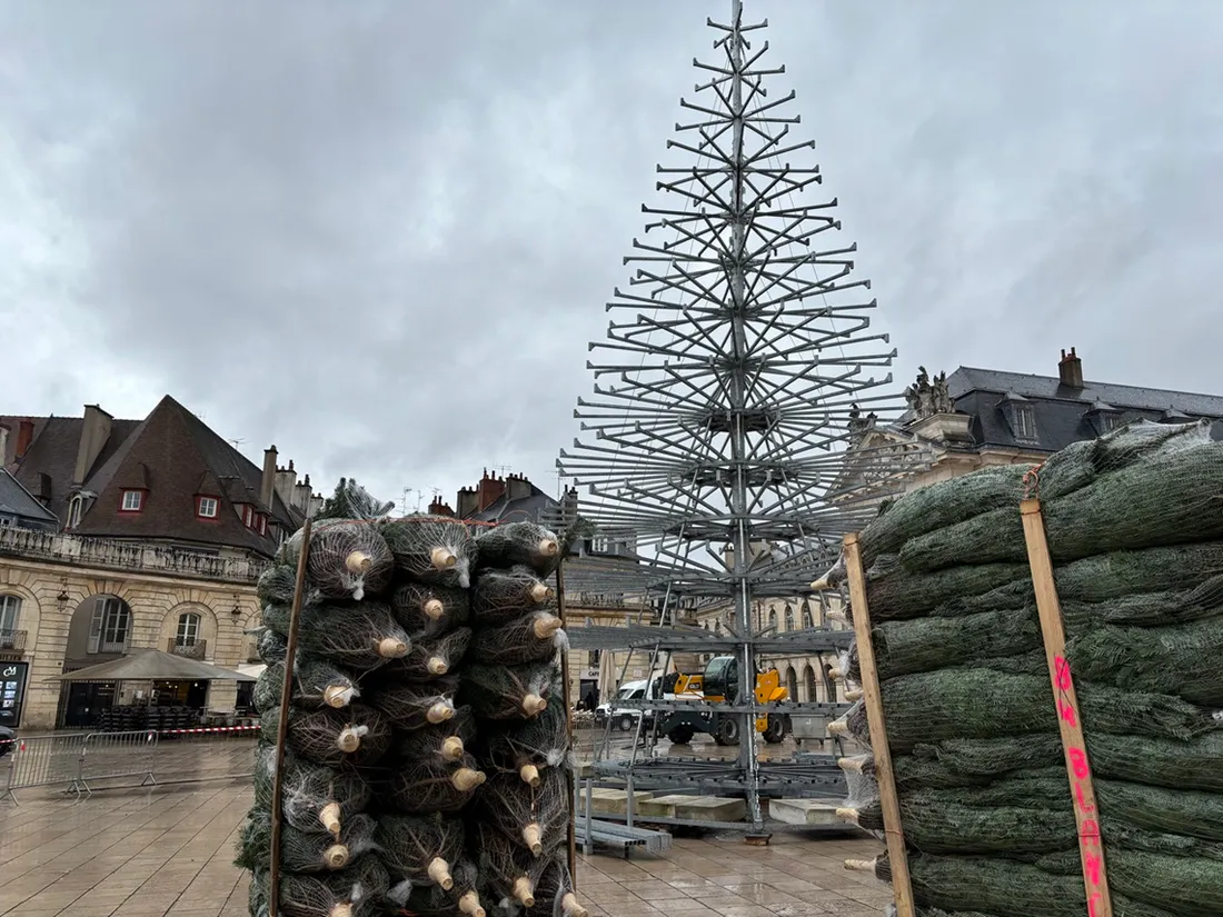 Le grand sapin de Noël de la place de la Libération est en cours de montage 