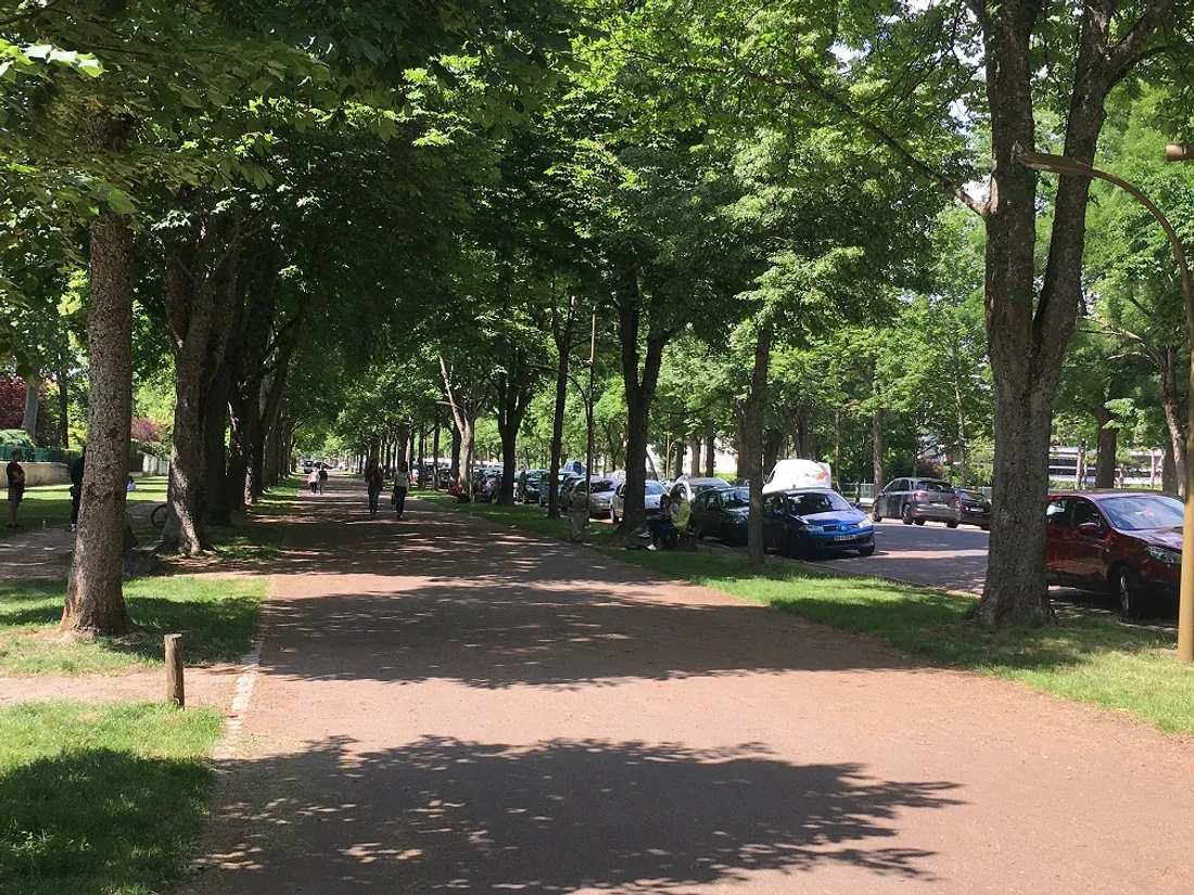 La métropole dijonnaise lance une nouvelle étude sur les espaces verts.