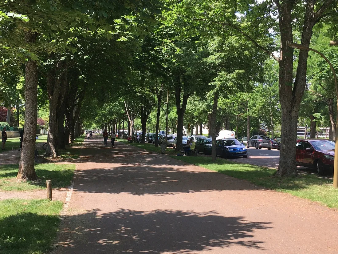 Le rendez-vous est fixé ce jeudi soir sur les allées du Parc, à Dijon