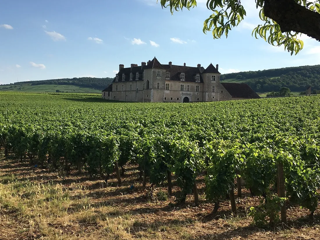 Le Château du Clos de Vougeot, sur la Côte de Nuits, fait partie intégrante des Chemins Épicuriens.