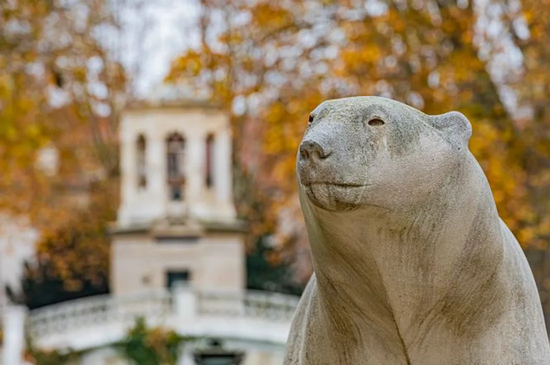 Ce livre-photos mêle des clichés de l'ours de Pompon et des couleurs de paysages dorés