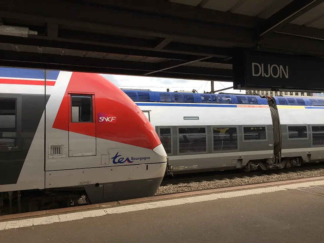 Le trafic sera perturbé ce week-end pour les TER circulant entre Lyon, Dijon et Paris