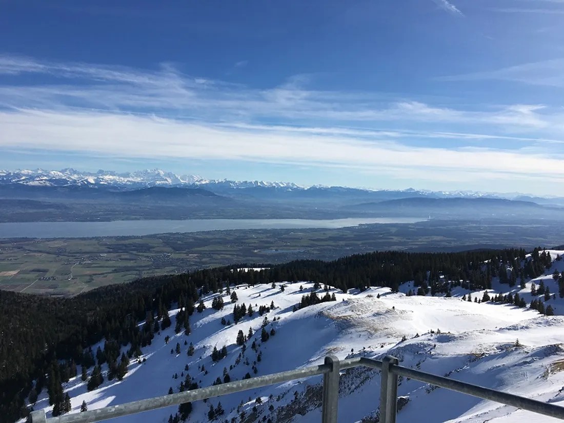 Vue sur le lac Léman et le nord des Alpes depuis le sommet du domaine des Rousses, dans le Jura 