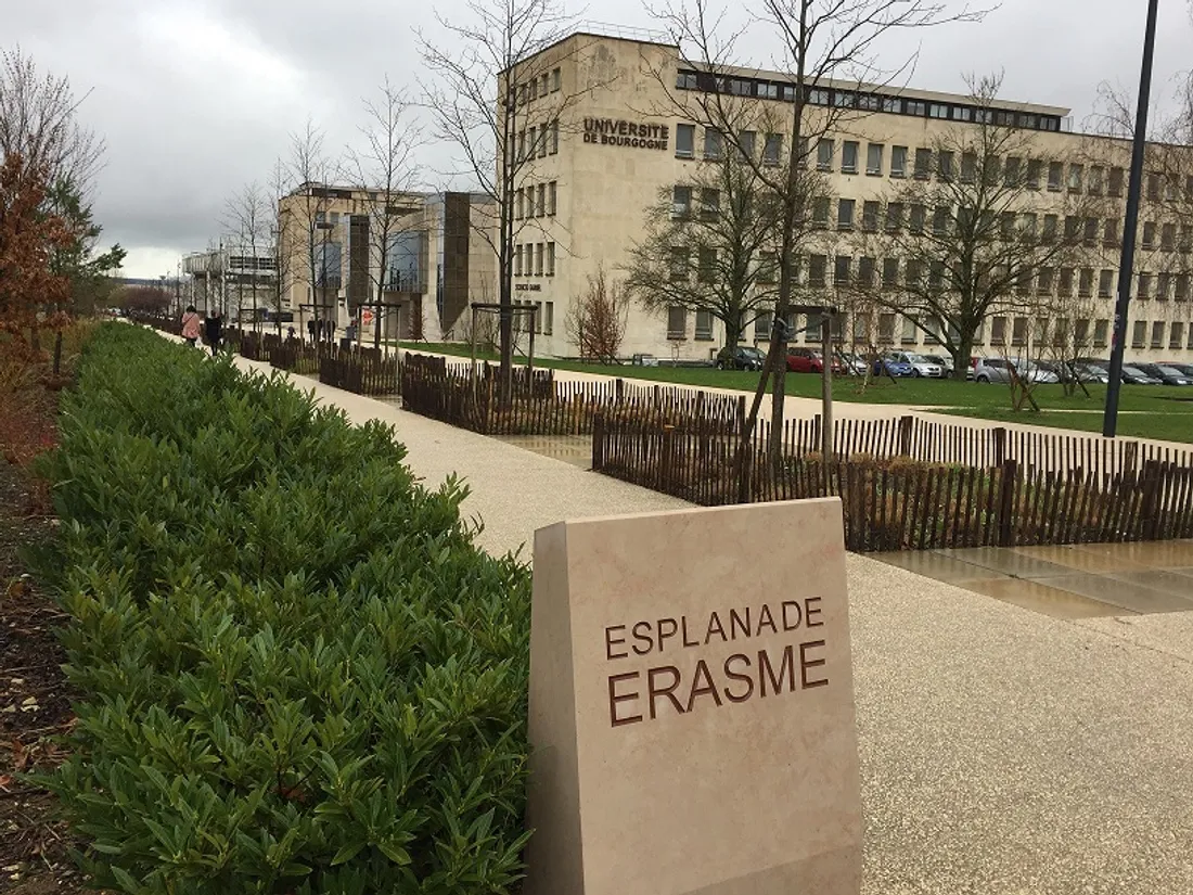 La résidence Beaune sur le campus de Dijon sera traitée contre les punaises cet été
