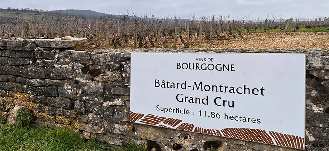 Le vignoble de Bourgogne donne naissance à des vins à la renommée historique et internationale. 
