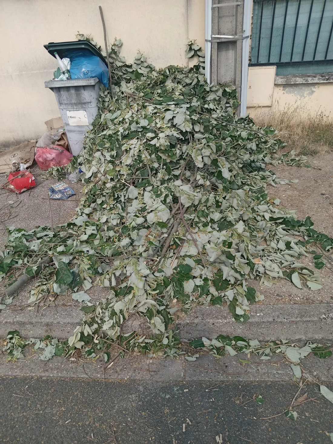Déchets verts