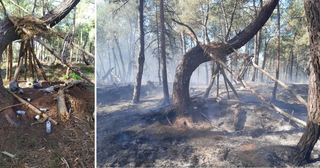 Incendie en forêt de Fontainebleau