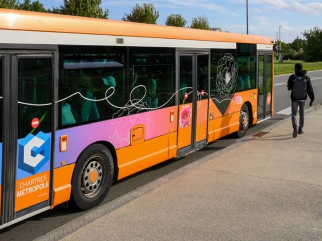 Filibus