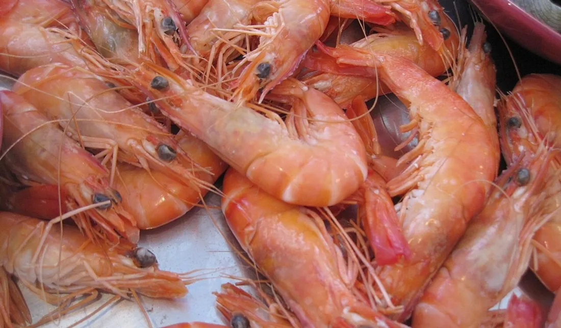 Crevettes