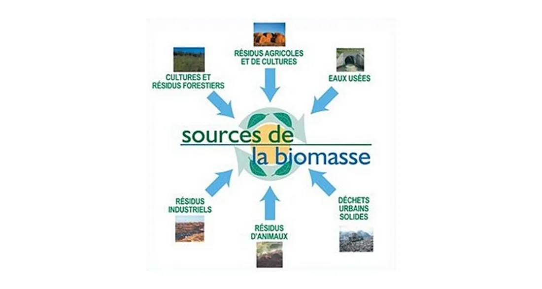 Sources de biomasse