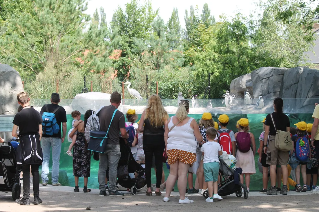 Visiteurs au zoo d'Amiens