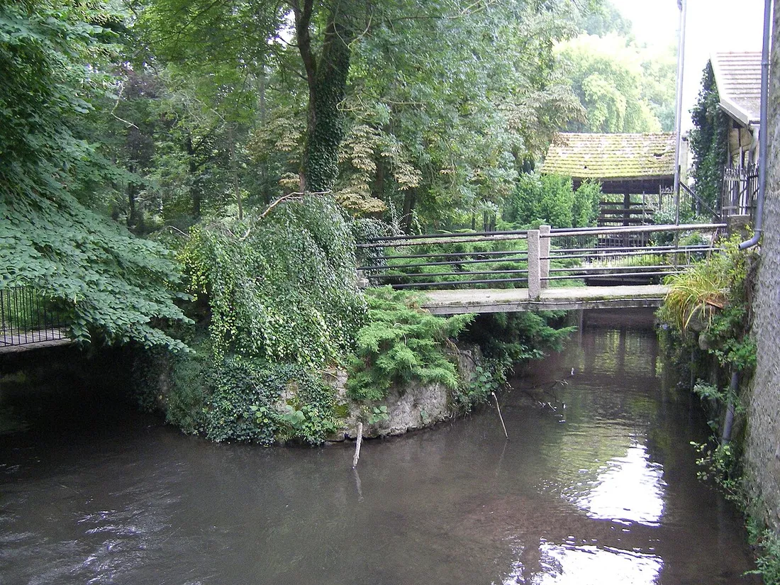 Rivière Juine à Ormoy-la-Rivière