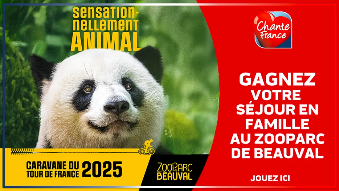 zoo