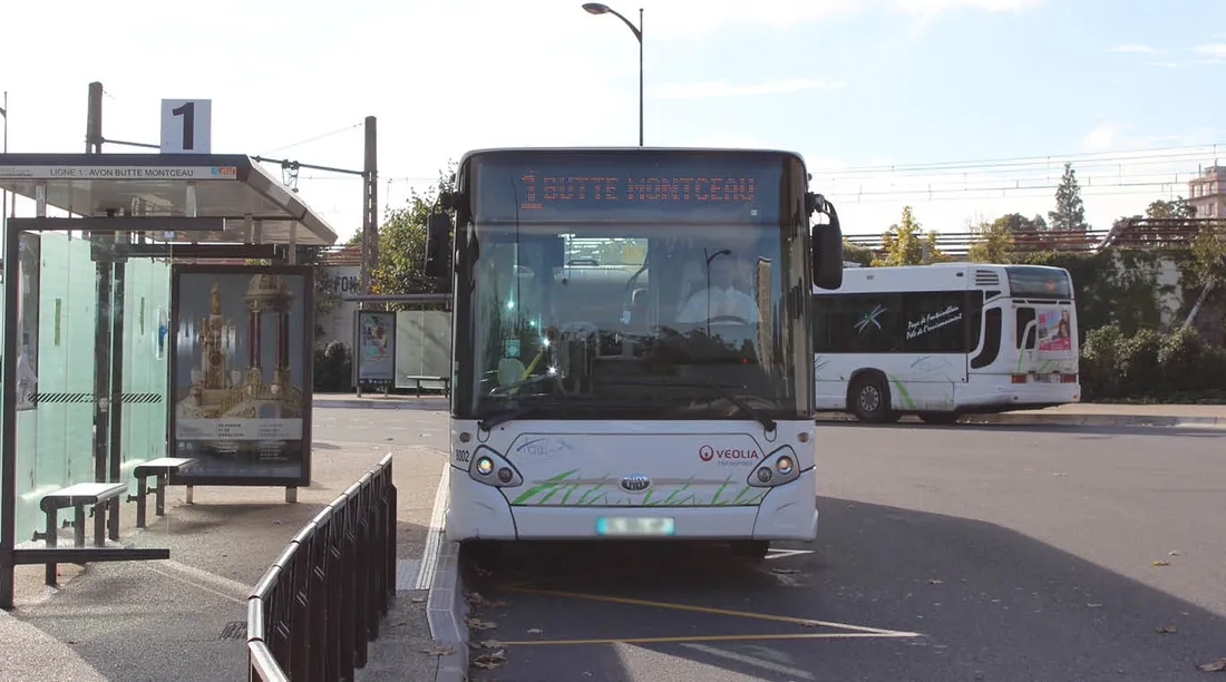 Bus à Fontainebleau
