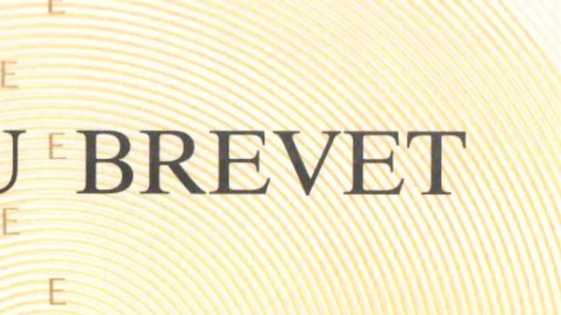 Détail du diplôme national du brevet