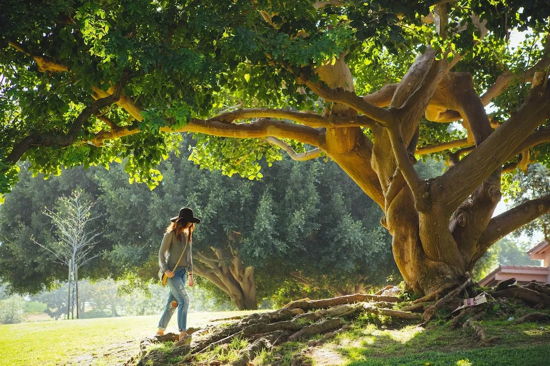 Une femme se promène sous un arbre