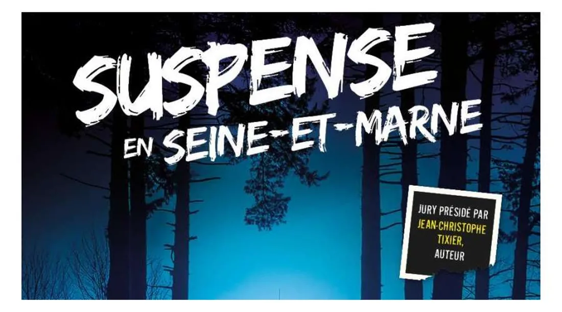 Suspense en Seine-et-Marne 2024