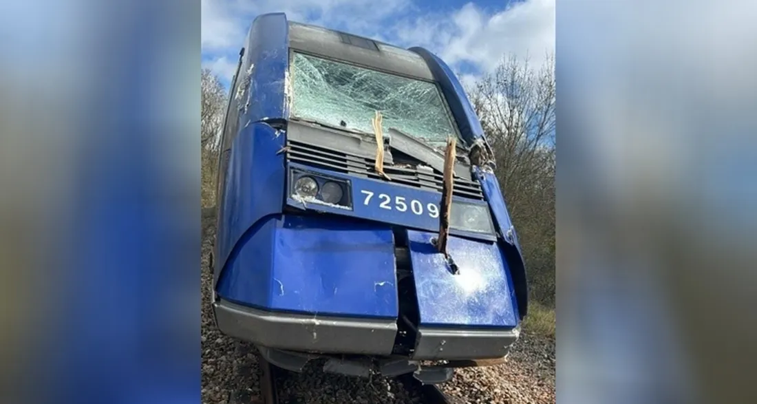 Un train après un choc contre un arbre