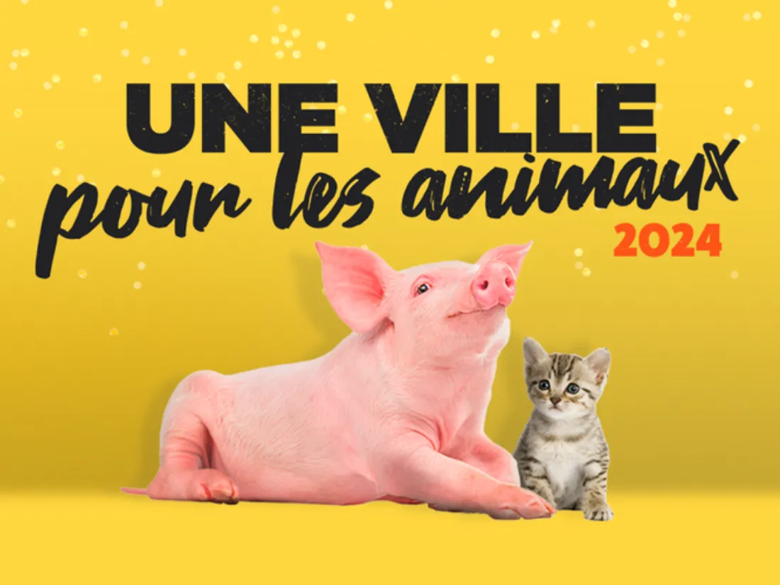 Une ville pour les animaux