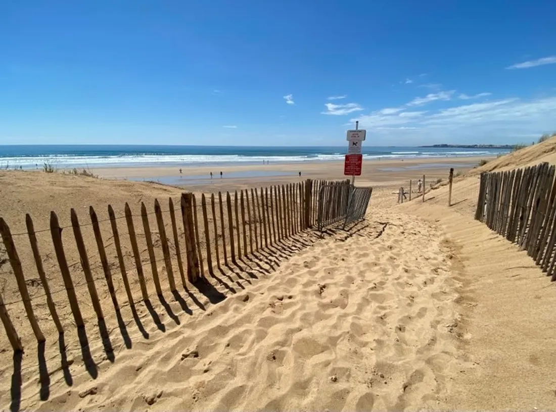 Les dunes de Saint-Gilles-Croix-de-Vie