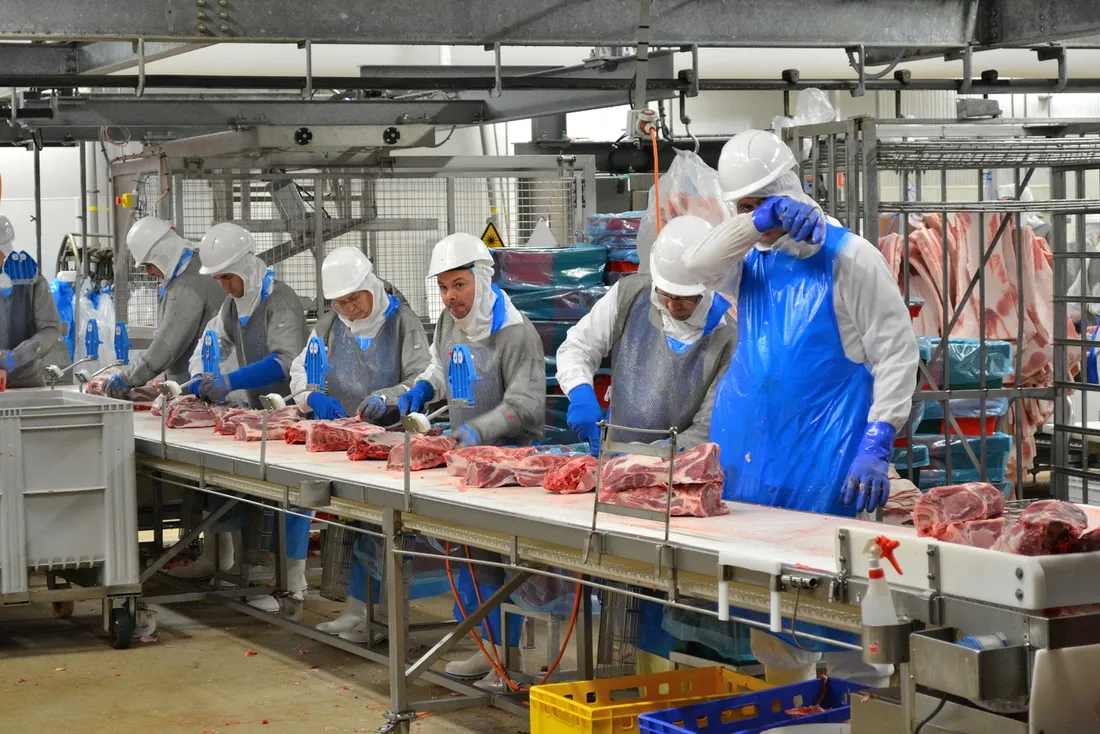 Abattoir employés découpe de viande