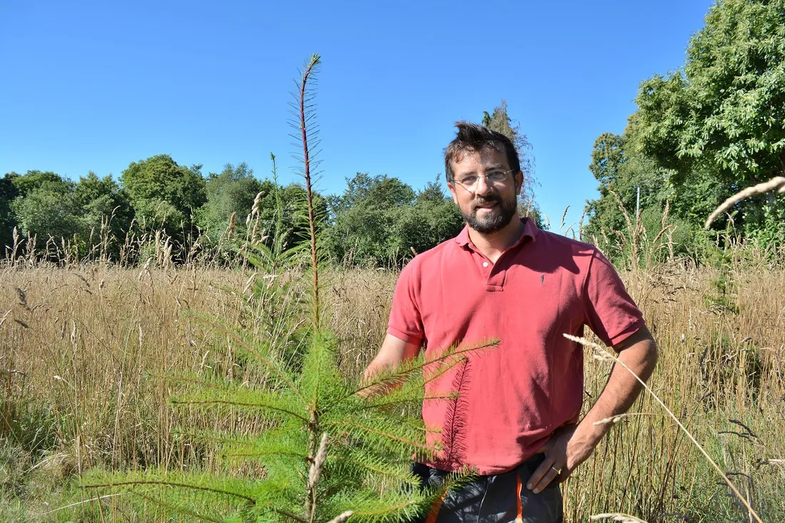 Vianney de la Brosse, cofondateur d'EcoTree et gestionnaire forestier pour la Bretagne