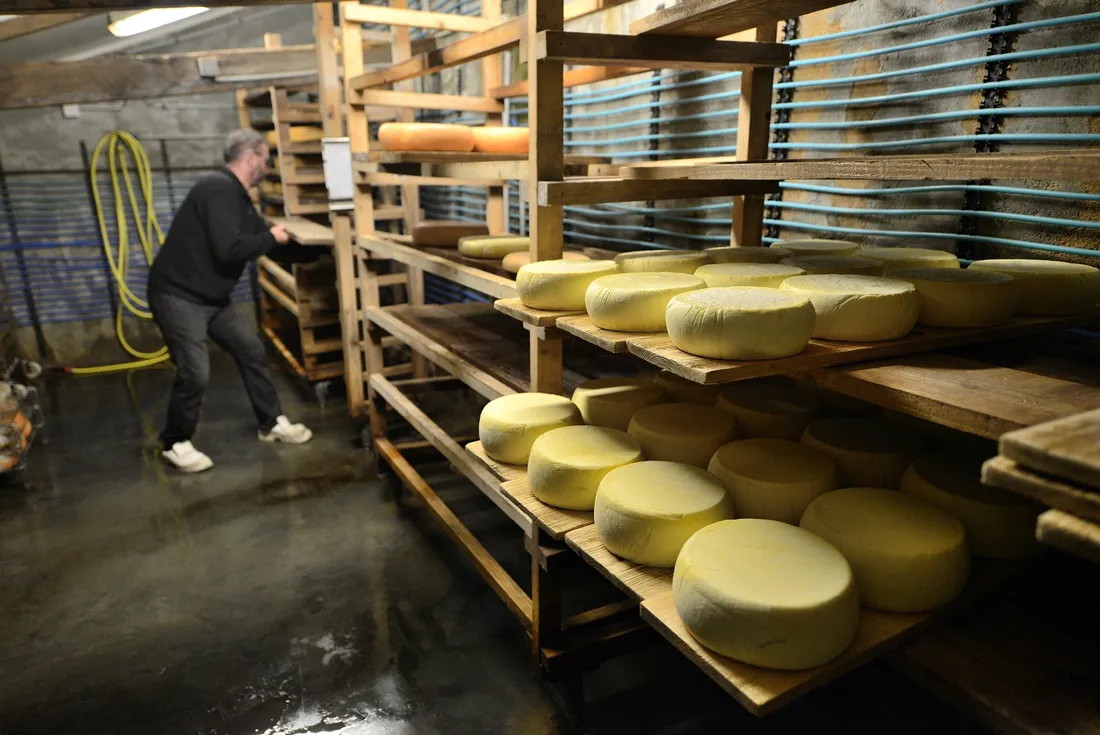 Cave à fromages