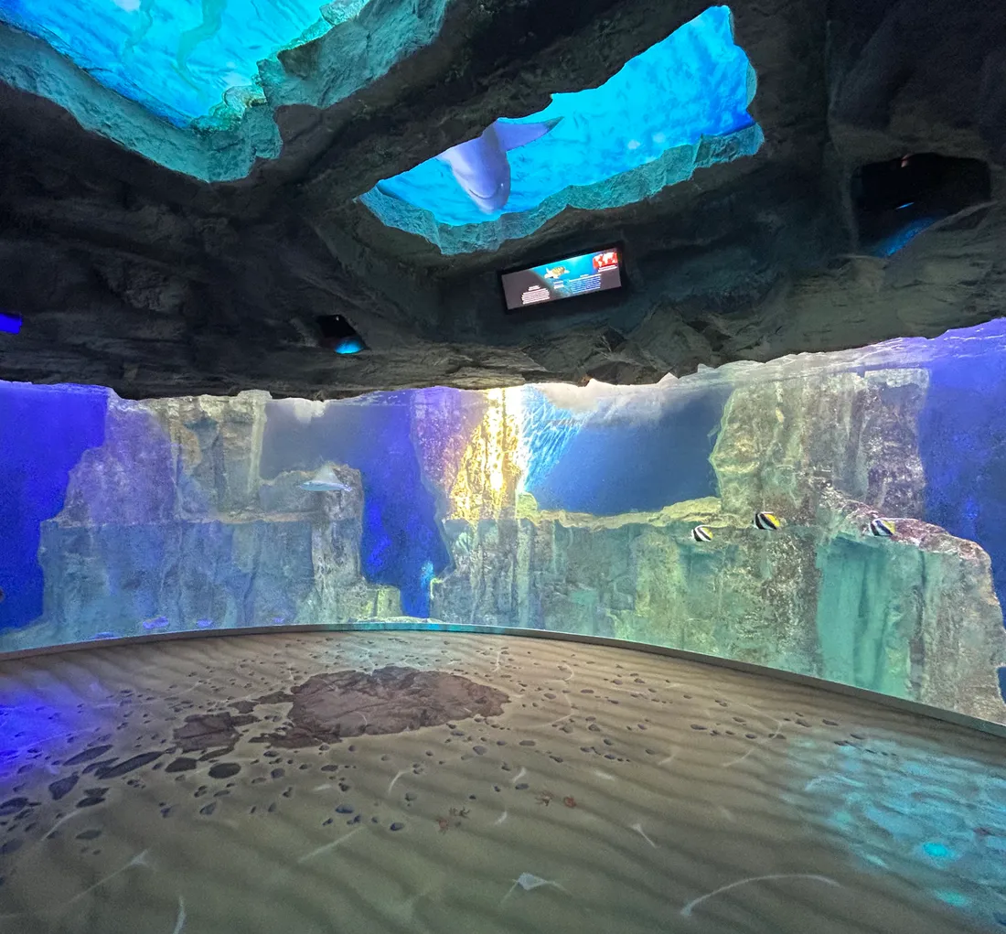Le Grand Aquarium de Saint Malo