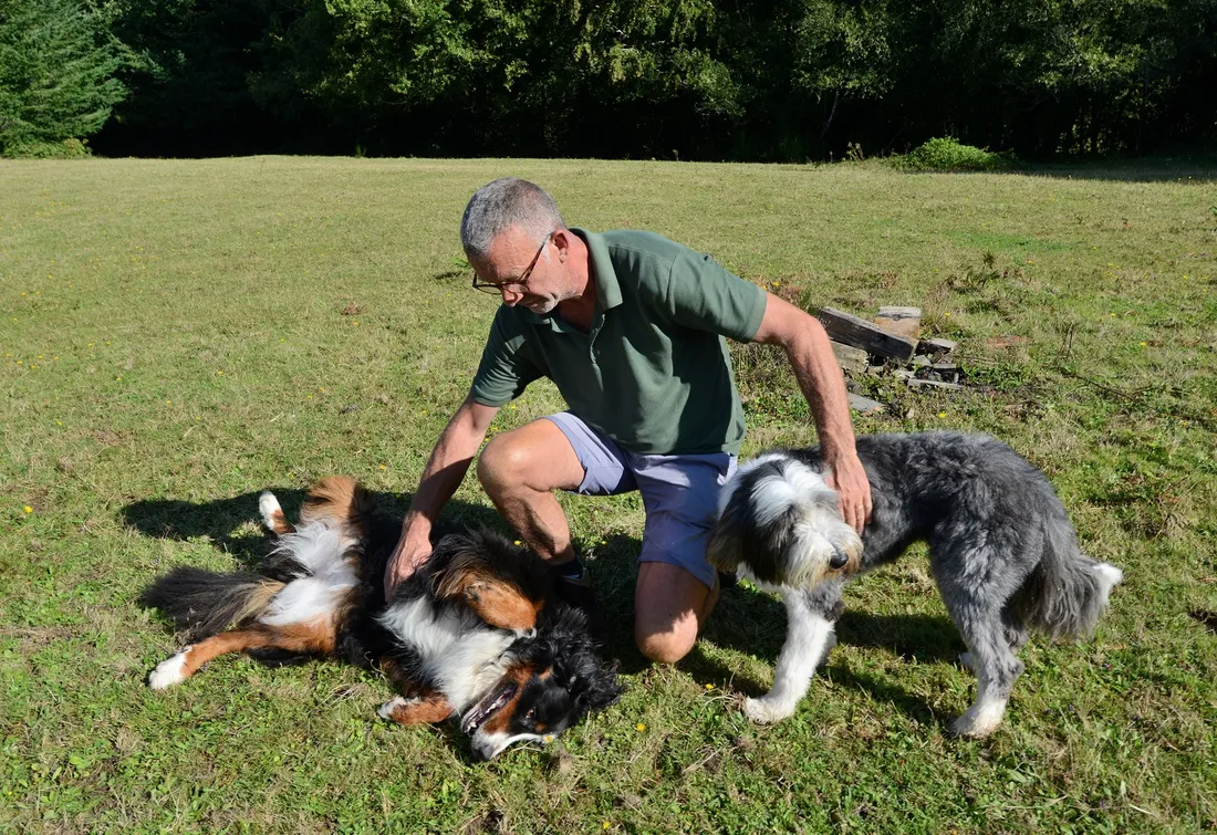 Pension canine et féline d'Elven (56) - Yves Rusquet
