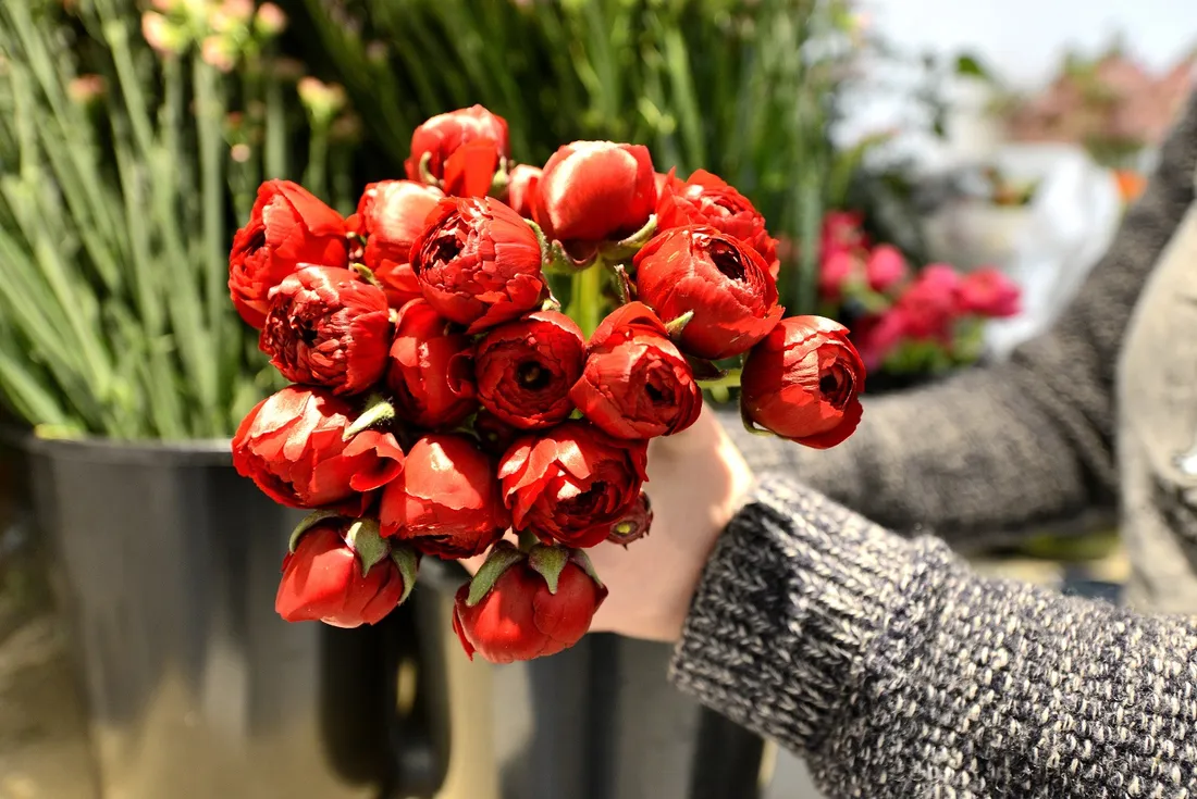 Des fleurs pour la St-Valentin