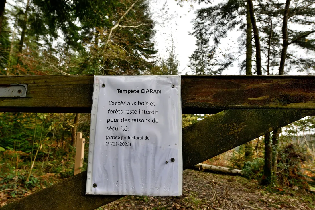 Forêt de Landevennec - accès interdit