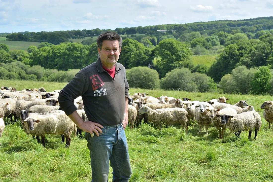 Thierry Piers, éleveur ovins